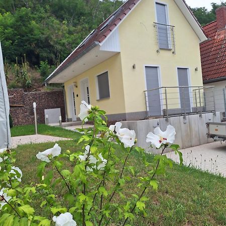 Ferienhaus Saaleblick Wettin Exteriér fotografie