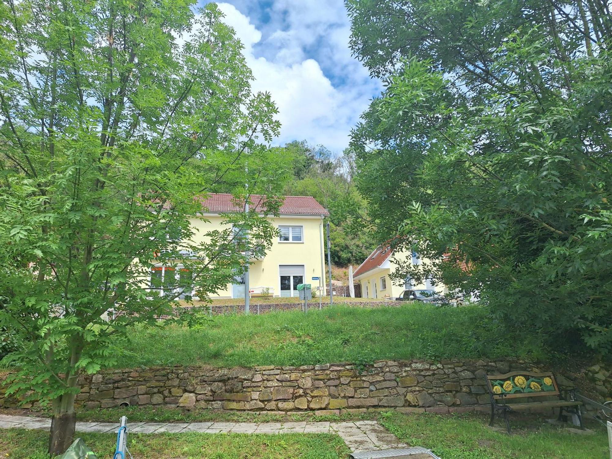 Ferienhaus Saaleblick Wettin Exteriér fotografie