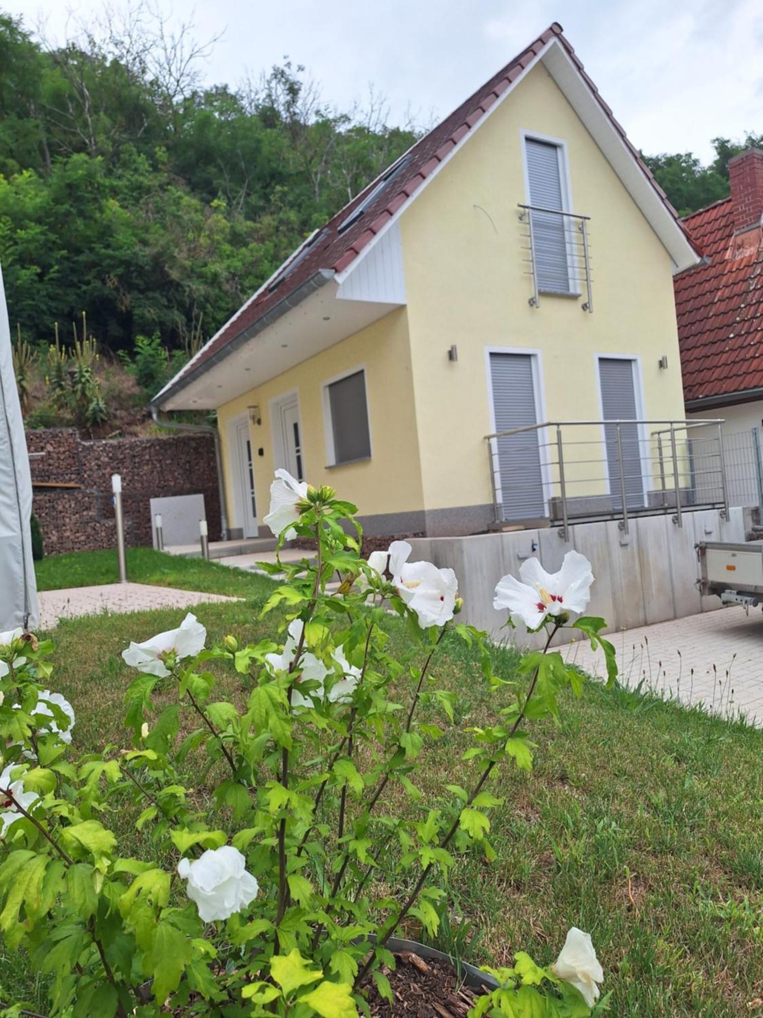 Ferienhaus Saaleblick Wettin Exteriér fotografie